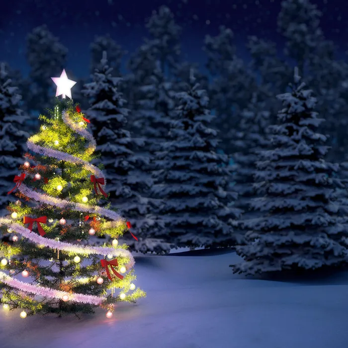 Праздничный новогодний концерт в районном Доме культуры